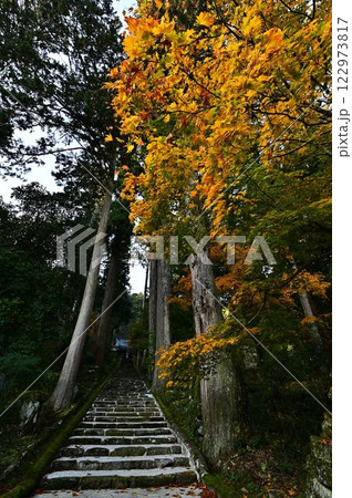 秋の常勝寺 122973817