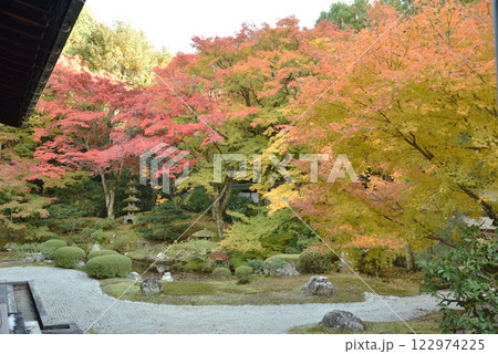 御寺泉涌寺 色鮮やかな秋の御座所庭園(京都市東山区) 御寺泉涌寺 色鮮やかな秋の御座所庭園(京都市東山区) 122974225