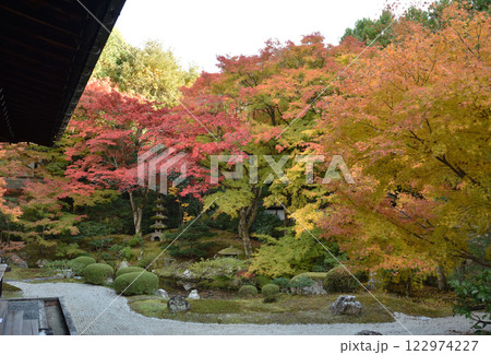 御寺泉涌寺　色鮮やかな秋の御座所庭園(京都市東山区) 122974227