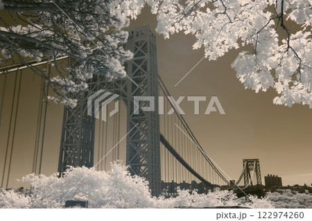 George Washington Bridge 122974260