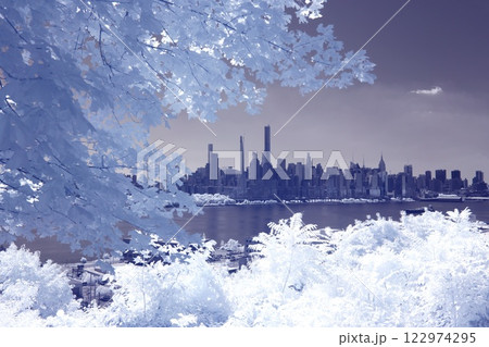 New York city 122974295