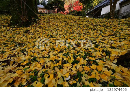 秋の常勝寺 122974496