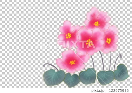 セントポーリアの花のカード1 122975956