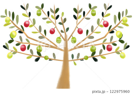 オリーブの木のカード2 122975960