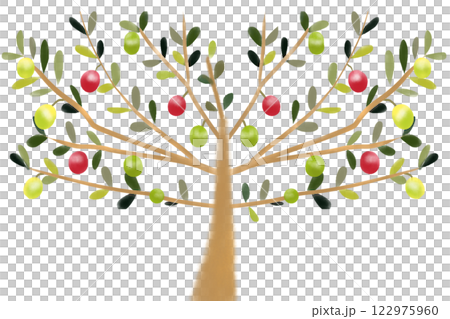 オリーブの木のカード2 122975960