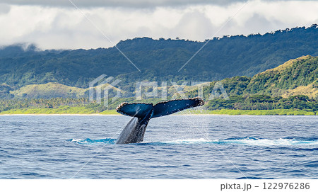 広大な海に浮かぶクジラの尾 122976286
