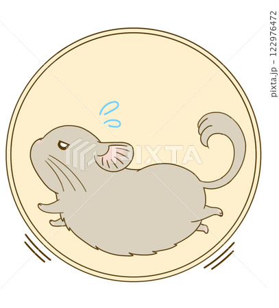 回し車を走って回すチンチラ(ベージュ) 回し車を走って回すチンチラ(ベージュ) 122976472