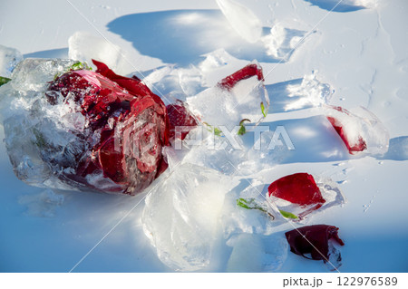 A vibrant red rose is partially covered in clear ice, with shards scattered on a soft, white snowy background, showcasing a serene winter ambiance A vibrant red rose is partially covered in clear ice, with shards scattered on a soft, white snowy background, showcasing a serene winter ambiance 122976589