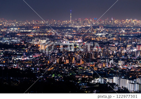 《東京都》東京全景・都市夜景 122977301