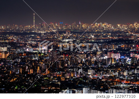 《東京都》東京全景・都市夜景 122977310