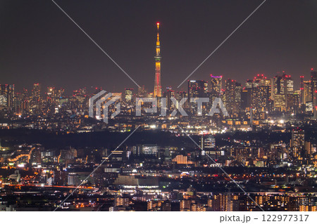 《東京都》東京全景・都市夜景 《東京都》東京全景・都市夜景 122977317