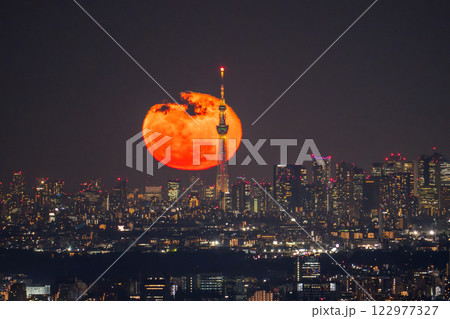 《東京都》月の出・東京全景都市夜景 《東京都》月の出・東京全景都市夜景 122977327