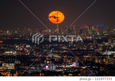 《東京都》月の出・東京全景都市夜景 122977331
