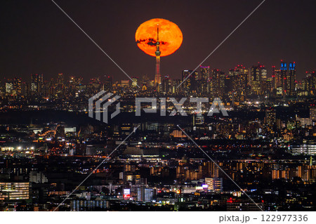 《東京都》月の出・東京全景都市夜景 《東京都》月の出・東京全景都市夜景 122977336