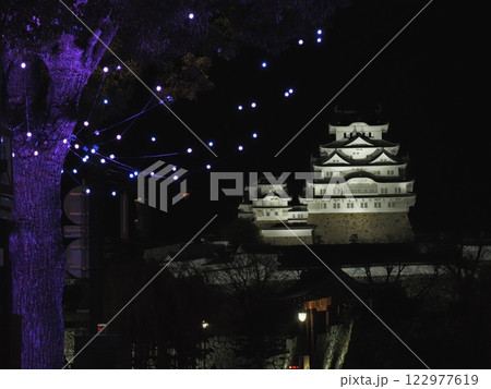 2024年冬の国宝姫路城の夜景 122977619