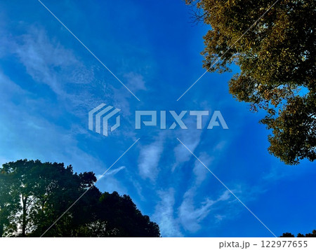 冬の空の樹木と雲の空き間を抜けると向こうは青空 冬の空の樹木と雲の空き間を抜けると向こうは青空 122977655