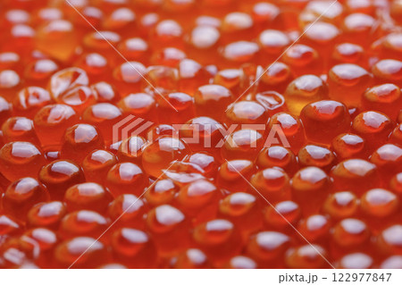 Salmon fish roe. Ikura. Red caviar. 122977847