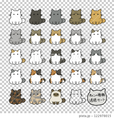 各種貓咪的透明插圖 各種貓咪的透明插圖 122978015