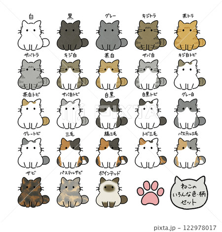 様々な猫の種類のイラスト名前付き 様々な猫の種類のイラスト名前付き 122978017