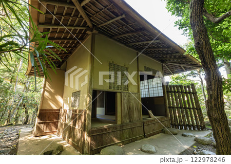 新緑の旧竹林院 122978246