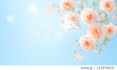 A corner arrangement of light peach roses with green leaves and small buds,a light blue background,ample copy space. Represents romance,love for greeting cards,invitations,backgrounds 122978610