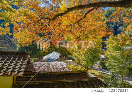 秋の紅葉に包まれた豊田市の香嵐渓の風景(愛知県) 122978815