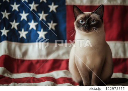 Siamese cat sitting in front of an American flag 122978855