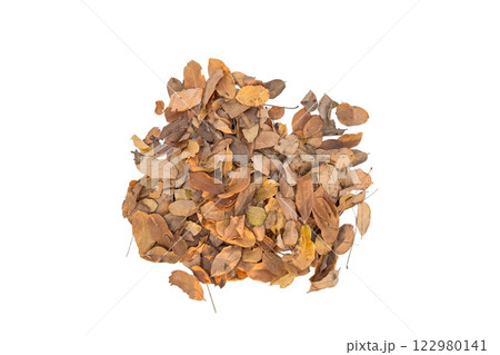 Dried leaves with intricate veins and curled edges is isolated on a white background with clipping paths. This image represents the cycle of nature, autumn and change. 122980141