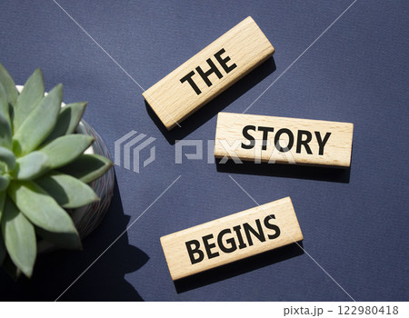 The Store Begins symbol. Concept words The Store Begins on wooden blocks with succulent plant. Beautiful deep blue background. Business and The Store Begins concept. Copy space. 122980418