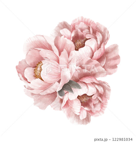 Pink Peonies. Peony Flowers bouquet watercolor illustration on a white background Pink Peonies. Peony Flowers bouquet watercolor illustration on a white background 122981034
