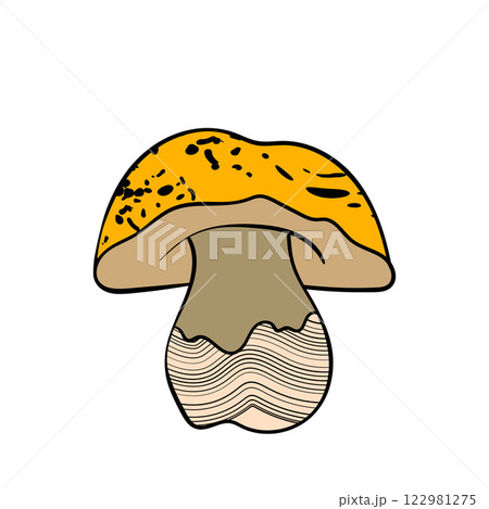 Set of mushrooms. Hand drawn vector illustration. Vegan food menu. Poisonous and edible mushroom. Autumn mushroom picking, forest plant sketches Set of mushrooms. Hand drawn vector illustration. Vegan food menu. Poisonous and edible mushroom. Autumn mushroom picking, forest plant sketches 122981275