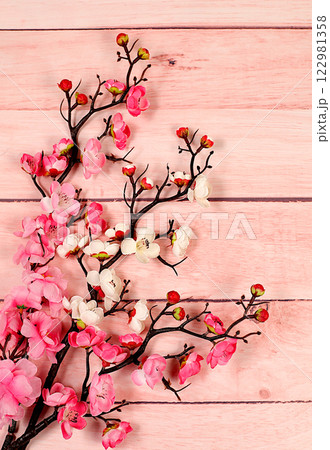 Still life with beautiful blooming sakura branches, Spring abstract flower arrangement. Greeting card for mother's day, women's day, happy birthday, wedding, gift for loved ones Still life with beautiful blooming sakura branches, Spring abstract flower arrangement. Greeting card for mother's day, women's day, happy birthday, wedding, gift for loved ones 122981358