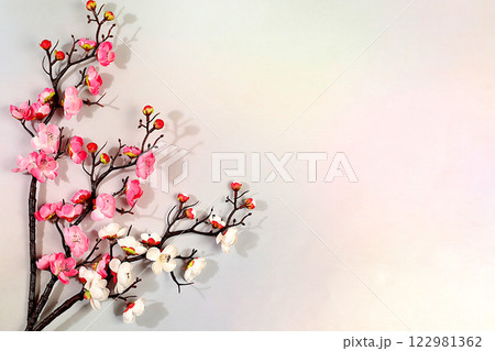 Spring abstract flower arrangement, still life with beautiful blooming sakura branches, banner for screen with space for text. Greeting card for mother's day, women's day, happy birthday 122981362