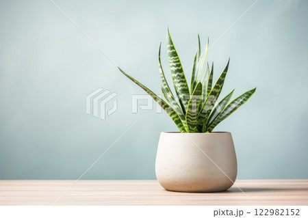 Sansevieria or snake plant in a minimalist beige pot on a wooden surface with a soft pastel background, creating a serene and modern aesthetic. Sansevieria or snake plant in a minimalist beige pot on a wooden surface with a soft pastel background, creating a serene and modern aesthetic. 122982152
