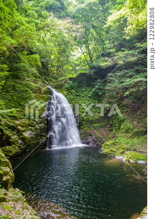 新緑の「赤目四十八滝」【不動滝】 122982808