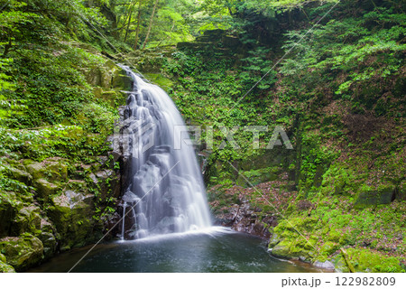 新緑の「赤目四十八滝」【不動滝】 新緑の「赤目四十八滝」【不動滝】 122982809