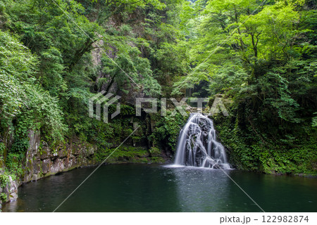 新緑の「赤目四十八滝」【千手滝】 122982874