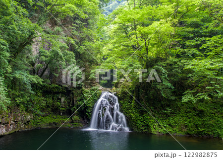 新緑の「赤目四十八滝」【千手滝】 122982875