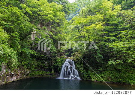 新緑の「赤目四十八滝」【千手滝】 新緑の「赤目四十八滝」【千手滝】 122982877