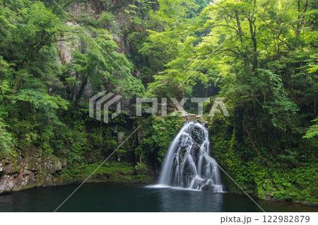 新緑の「赤目四十八滝」【千手滝】 新緑の「赤目四十八滝」【千手滝】 122982879