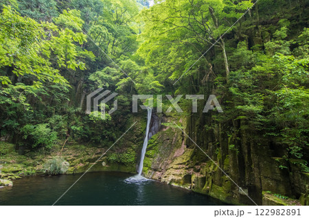 新緑の「赤目四十八滝」【布曳滝】 122982891