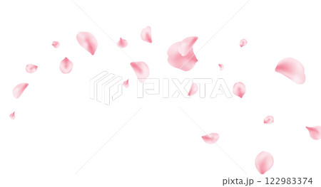 Sakura petal background. Spring blossom banner. 8 March card. Pink rose composition. Flower flying design. Beauty Spa product frame. Valentine romantic border. Women Day. Vector illustration 122983374