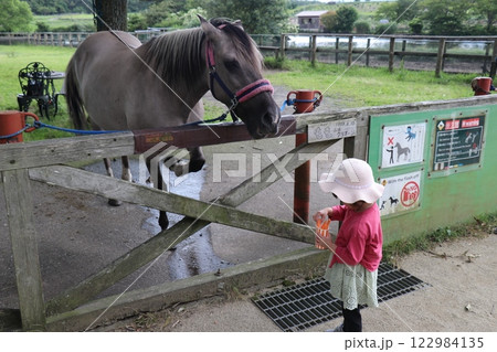 国立公園九重やまなみ牧場、やまなみ牧場、大分県 国立公園九重やまなみ牧場、やまなみ牧場、大分県 122984135