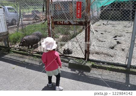 国立公園九重やまなみ牧場、やまなみ牧場、大分県 122984142