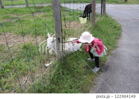 国立公園九重やまなみ牧場、やまなみ牧場、大分県 122984149