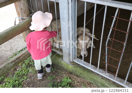 国立公園九重やまなみ牧場、やまなみ牧場、大分県 国立公園九重やまなみ牧場、やまなみ牧場、大分県 122984151