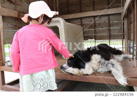 国立公園九重やまなみ牧場、やまなみ牧場、大分県 122984156