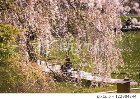 京都府八幡市の長閑に釣り糸を垂れる釣り堀の桜を撮影 122984244