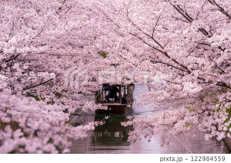 水辺を彩る歴史と風情の京都市伏見区中書島の十石舟が行きかう桜並木を撮影 122984559