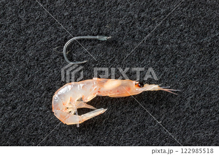 オキアミと釣り針 オキアミと釣り針 122985518